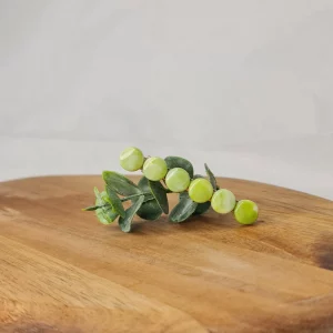 pasador olivia